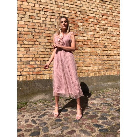 Pūderrozā, svinīga kleita Pūderrozā, svinīga kleita